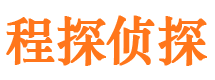 望江侦探公司